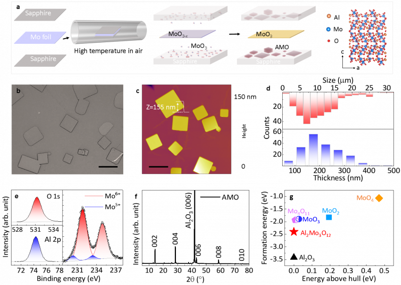 1783907323386165v7wf.png 1.png